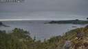 ./images/calvert/foggy-cove/20260412/foggy-cove20260412_202501M.jpg