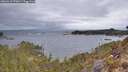 ./images/calvert/foggy-cove/20260413/foggy-cove20260413_073001M.jpg