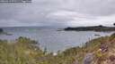 ./images/calvert/foggy-cove/20260413/foggy-cove20260413_073501M.jpg