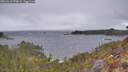 ./images/calvert/foggy-cove/20260413/foggy-cove20260413_075002M.jpg
