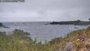 ./images/calvert/foggy-cove/20260413/foggy-cove20260413_075501M.jpg
