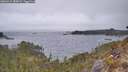 ./images/calvert/foggy-cove/20260413/foggy-cove20260413_080001M.jpg