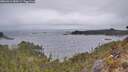 ./images/calvert/foggy-cove/20260413/foggy-cove20260413_080501M.jpg