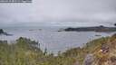 ./images/calvert/foggy-cove/20260413/foggy-cove20260413_081501M.jpg