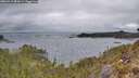 ./images/calvert/foggy-cove/20260413/foggy-cove20260413_083001M.jpg