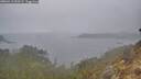 ./images/calvert/foggy-cove/20260413/foggy-cove20260413_090501M.jpg