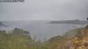 ./images/calvert/foggy-cove/20260413/foggy-cove20260413_091001M.jpg