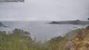 ./images/calvert/foggy-cove/20260413/foggy-cove20260413_091501M.jpg