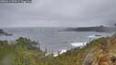 ./images/calvert/foggy-cove/20260414/foggy-cove20260414_074502M.jpg