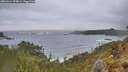./images/calvert/foggy-cove/20260414/foggy-cove20260414_075002M.jpg