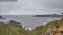 ./images/calvert/foggy-cove/20260414/foggy-cove20260414_081001M.jpg