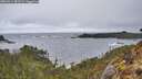 ./images/calvert/foggy-cove/20260414/foggy-cove20260414_083501M.jpg