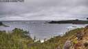 ./images/calvert/foggy-cove/20260414/foggy-cove20260414_085501M.jpg