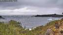 ./images/calvert/foggy-cove/20260414/foggy-cove20260414_091001M.jpg