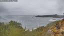 ./images/calvert/foggy-cove/20260414/foggy-cove20260414_095001M.jpg