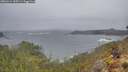 ./images/calvert/foggy-cove/20260414/foggy-cove20260414_095501M.jpg