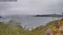 ./images/calvert/foggy-cove/20260414/foggy-cove20260414_100001M.jpg