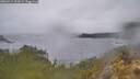 ./images/calvert/foggy-cove/20260414/foggy-cove20260414_102001M.jpg