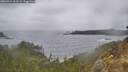 ./images/calvert/foggy-cove/20260414/foggy-cove20260414_102501M.jpg