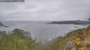 ./images/calvert/foggy-cove/20260414/foggy-cove20260414_103501M.jpg