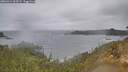 ./images/calvert/foggy-cove/20260414/foggy-cove20260414_105501M.jpg
