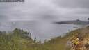 ./images/calvert/foggy-cove/20260414/foggy-cove20260414_110501M.jpg