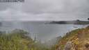 ./images/calvert/foggy-cove/20260414/foggy-cove20260414_111001M.jpg
