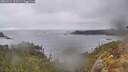 ./images/calvert/foggy-cove/20260414/foggy-cove20260414_111501M.jpg