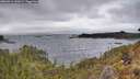 ./images/calvert/foggy-cove/20260414/foggy-cove20260414_142001M.jpg