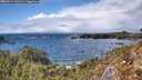 ./images/calvert/foggy-cove/20260414/foggy-cove20260414_151501M.jpg