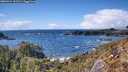 ./images/calvert/foggy-cove/20260414/foggy-cove20260414_161502M.jpg