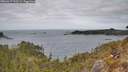 ./images/calvert/foggy-cove/20260417/foggy-cove20260417_131501M.jpg