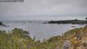 ./images/calvert/foggy-cove/20260418/foggy-cove20260418_162501M.jpg
