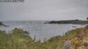 ./images/calvert/foggy-cove/20260418/foggy-cove20260418_164002M.jpg