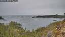 ./images/calvert/foggy-cove/20260418/foggy-cove20260418_164501M.jpg