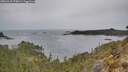 ./images/calvert/foggy-cove/20260418/foggy-cove20260418_170001M.jpg