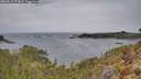 ./images/calvert/foggy-cove/20260418/foggy-cove20260418_172001M.jpg