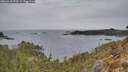 ./images/calvert/foggy-cove/20260418/foggy-cove20260418_173501M.jpg