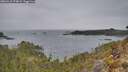 ./images/calvert/foggy-cove/20260418/foggy-cove20260418_174002M.jpg