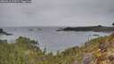 ./images/calvert/foggy-cove/20260418/foggy-cove20260418_174501M.jpg