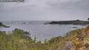 ./images/calvert/foggy-cove/20260418/foggy-cove20260418_175501M.jpg