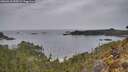 ./images/calvert/foggy-cove/20260418/foggy-cove20260418_200501M.jpg