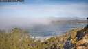 ./images/calvert/foggy-cove/20260420/foggy-cove20260420_101001M.jpg