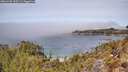 ./images/calvert/foggy-cove/20260420/foggy-cove20260420_123501M.jpg
