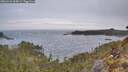 ./images/calvert/foggy-cove/20260421/foggy-cove20260421_064501M.jpg