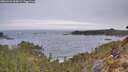 ./images/calvert/foggy-cove/20260421/foggy-cove20260421_065001M.jpg