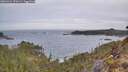 ./images/calvert/foggy-cove/20260421/foggy-cove20260421_070502M.jpg