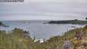 ./images/calvert/foggy-cove/20260421/foggy-cove20260421_071001M.jpg