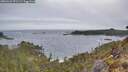 ./images/calvert/foggy-cove/20260421/foggy-cove20260421_071501M.jpg