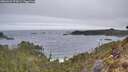 ./images/calvert/foggy-cove/20260421/foggy-cove20260421_072001M.jpg